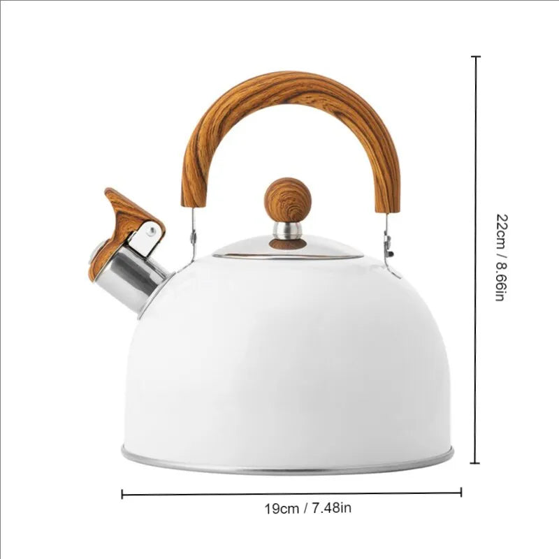 Big Fast Boiling Stainless Steel Kettle