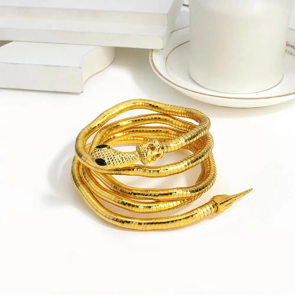 Trendy Snake Chain Double Layer Necklace