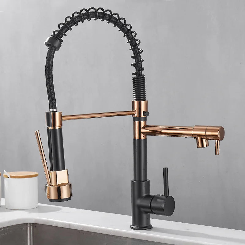 Black and Gold 2 Handle Kitchen Sink Faucet