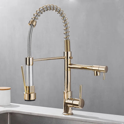 Black and Gold 2 Handle Kitchen Sink Faucet