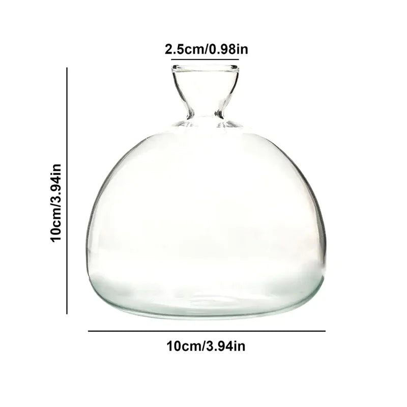 Sleek Transparent Plant Pot Vase - Luxicro