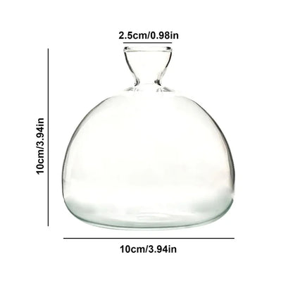 Sleek Transparent Plant Pot Vase - Luxicro