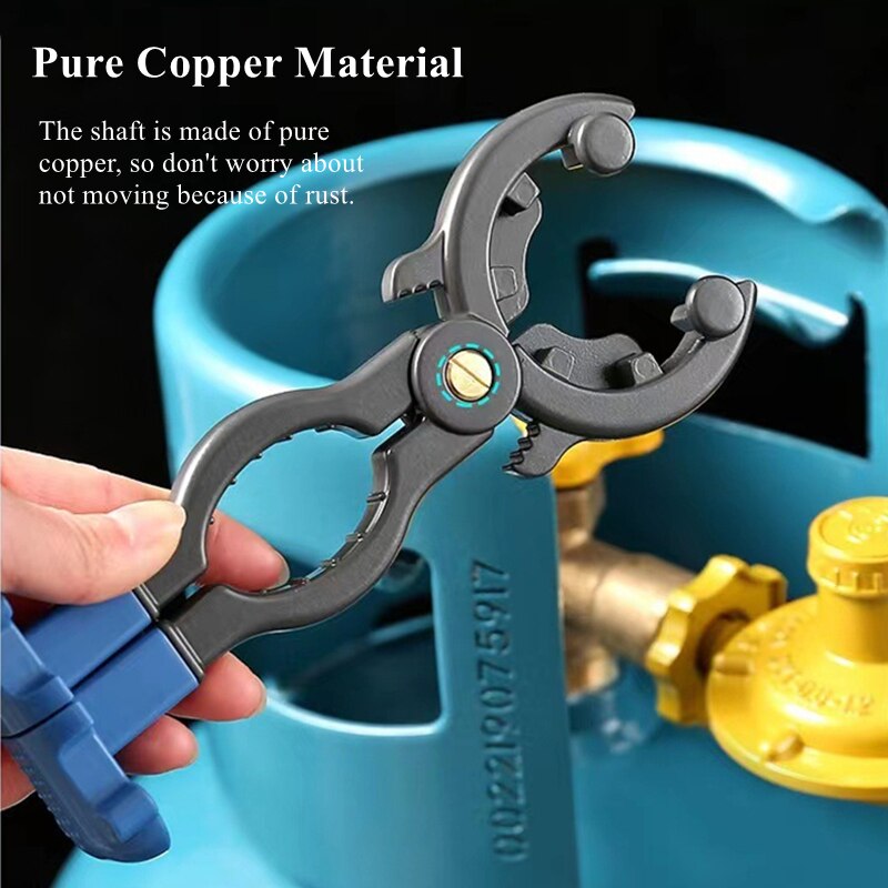 Heavy Duty Fuel Pressure Test Kit