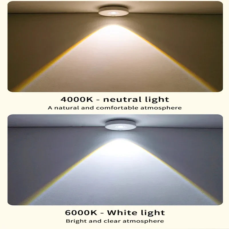 Motion Activated LED Security Light
