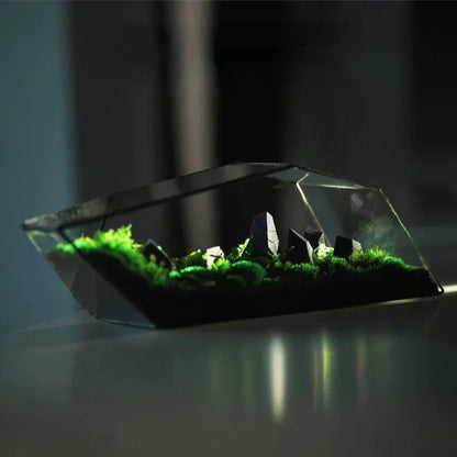 Decorative Glass Mini Indoor Planter Vase