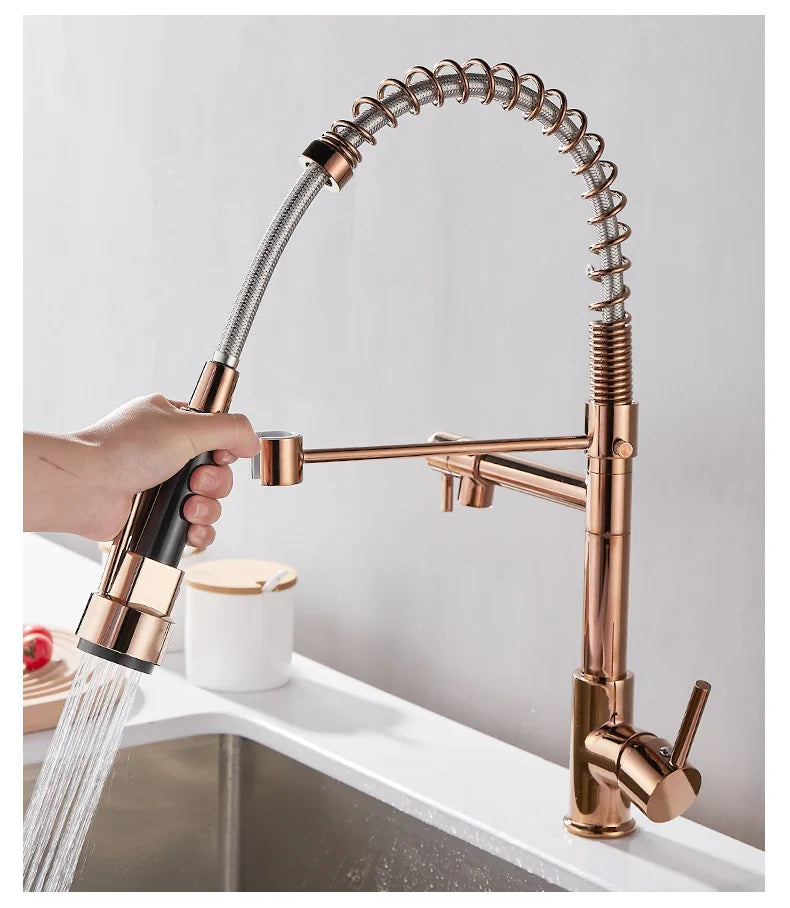 Black and Gold 2 Handle Kitchen Sink Faucet
