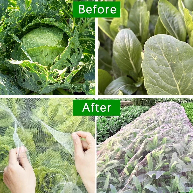 Tough Outdoor Netting for Bird and Pest Protection
