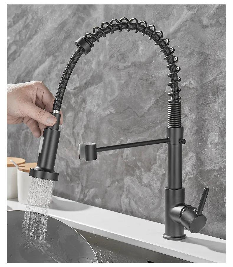 Black and Gold 2 Handle Kitchen Sink Faucet