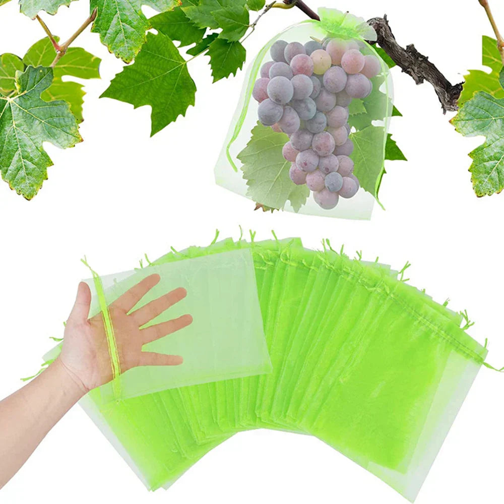 Pest Guard Outdoor Plant Protectors