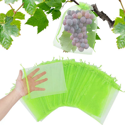 Pest Guard Outdoor Plant Protectors