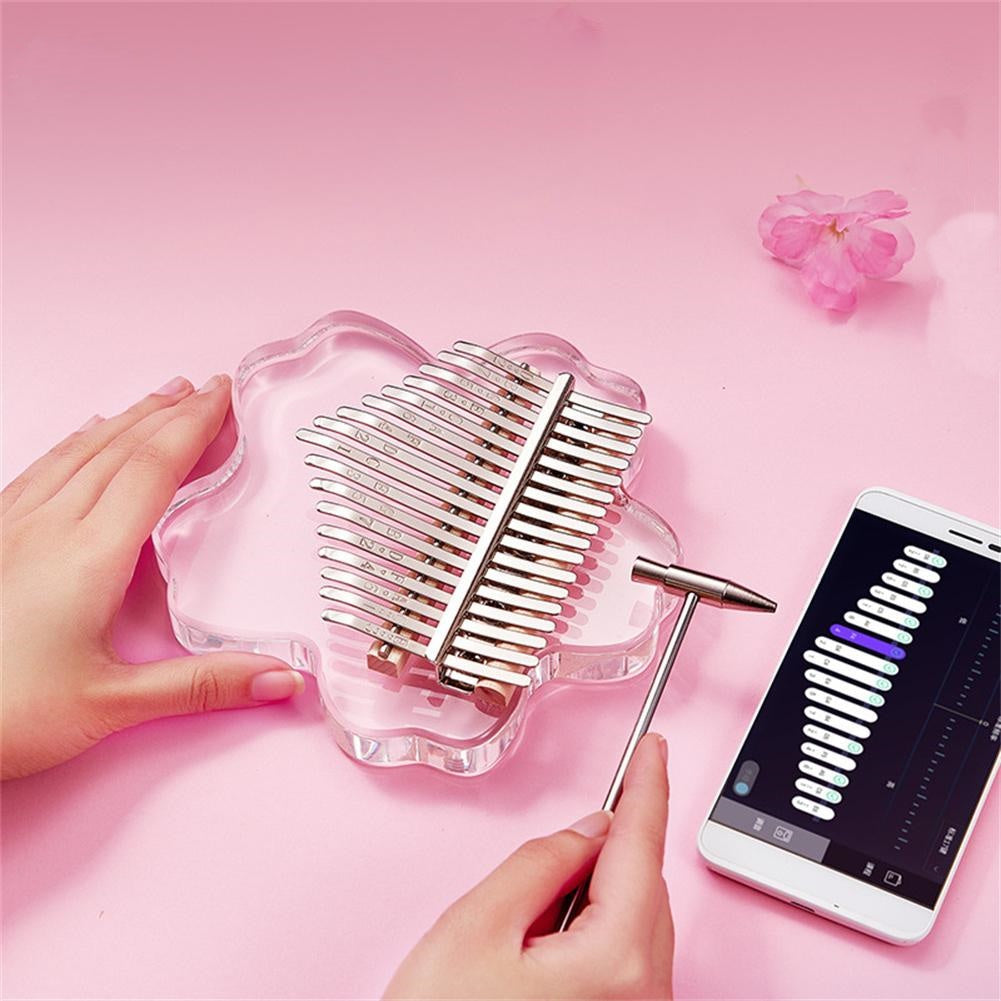 Vibrant Pink Mini Kalimba Instrument