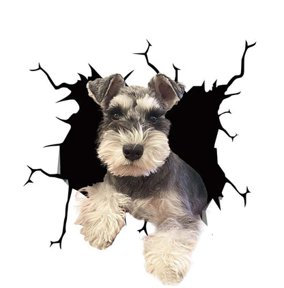 Cool Car Body Vinyl Protective Sticker Skin
