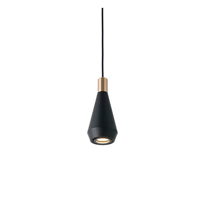 Elegant Modern Pendant LED Light