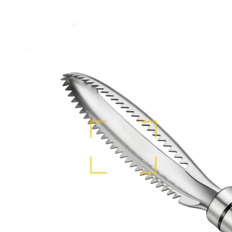 Simple Fish Cleaner Tool with Bone Pliers