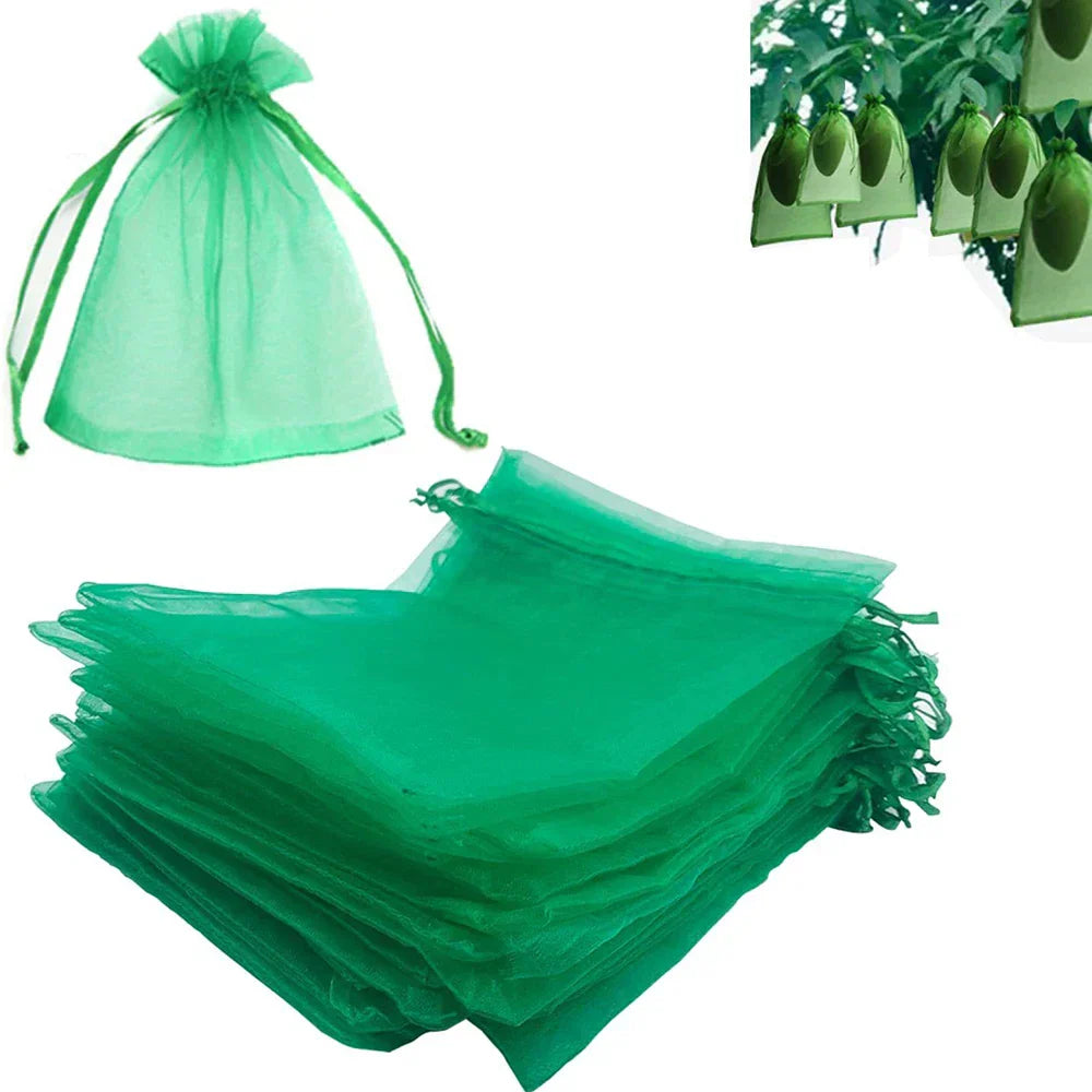 Pest Guard Outdoor Plant Protectors