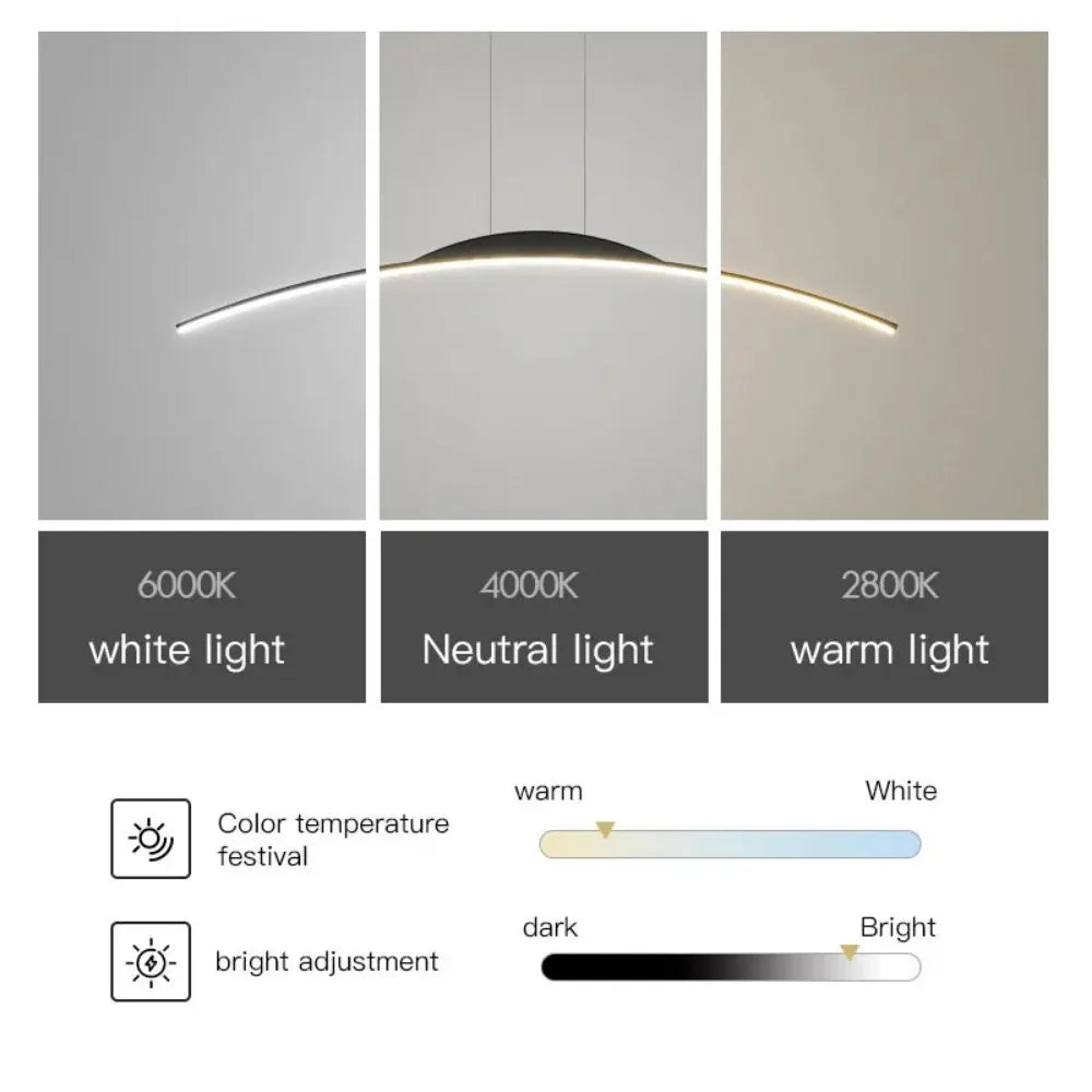 Modern Overhead LED Light Fixture for Home