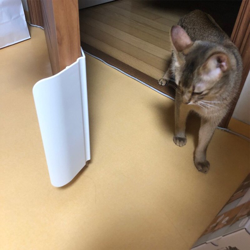 Automatic Pet Door Access System