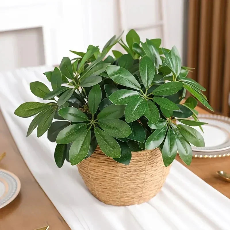 Realistic Indoor Plant with Stem and Leaves