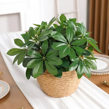 Realistic Indoor Plant with Stem and Leaves
