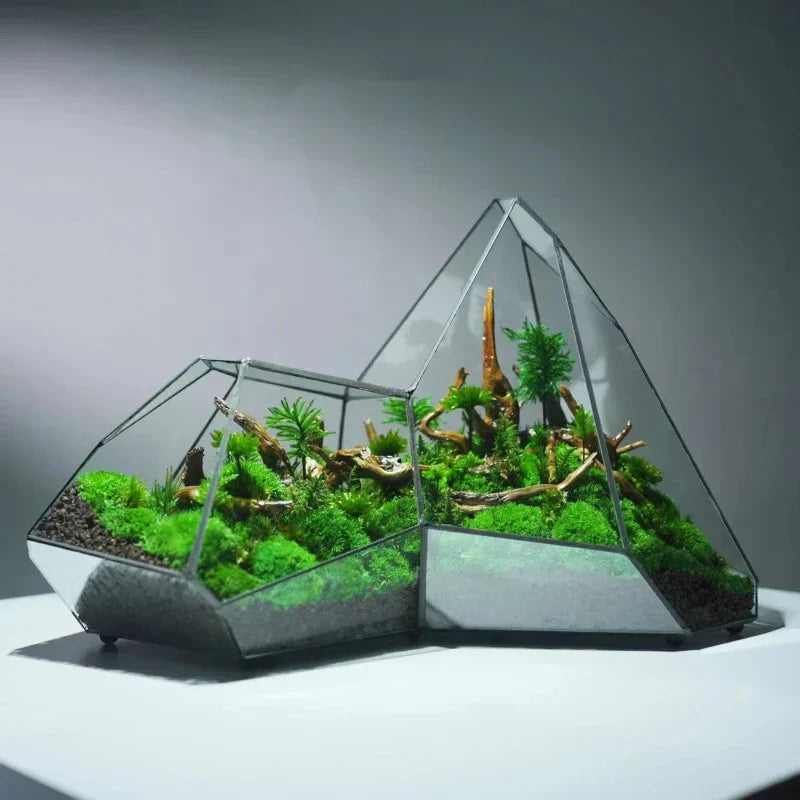 Decorative Glass Mini Indoor Planter Vase