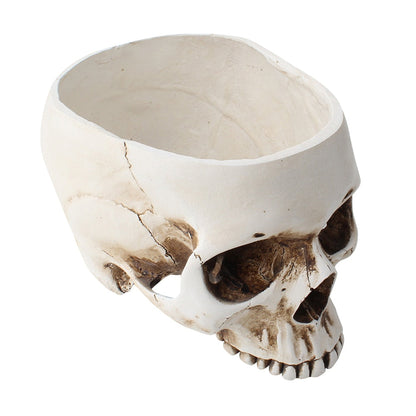 Decorative Skull Shaped Ceramic Vase