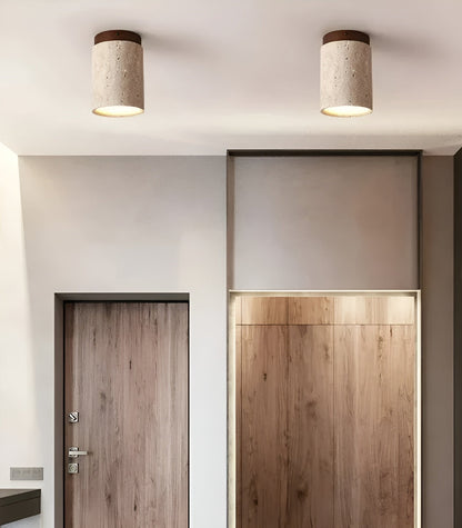 Beautiful Earthy LED Ceiling Lamp - Luxicro