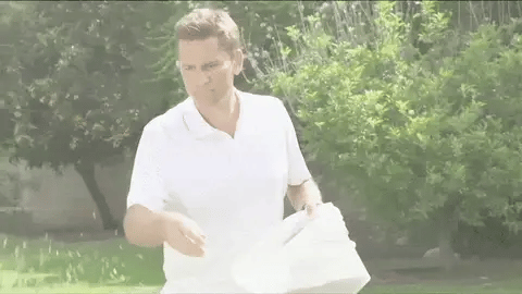 Quick Fix Grass Seed Spray for Thin Lawn Areas