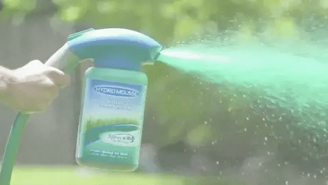 Quick Fix Grass Seed Spray for Thin Lawn Areas
