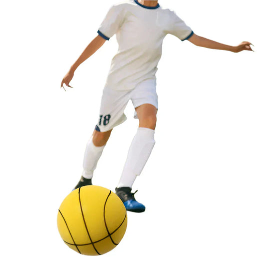 Best Indoor Basketball Rebound Trainer - Luxicro