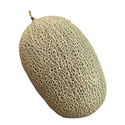 Cute Fuzzy Fruit Throw Pillow