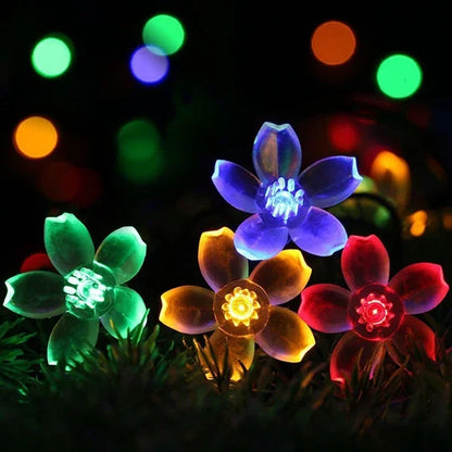 Delicate Rose Colorful Fairy Lights