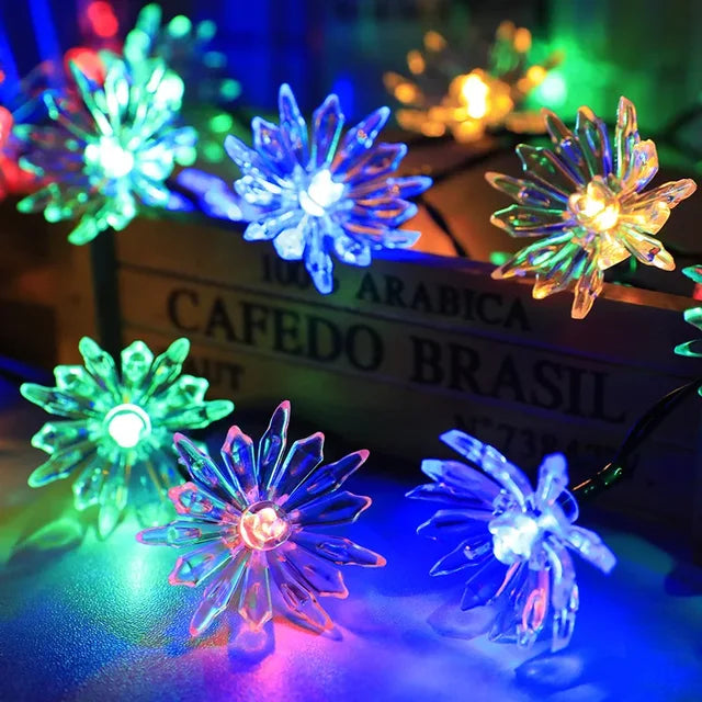 Soft Rose Fairy Lights