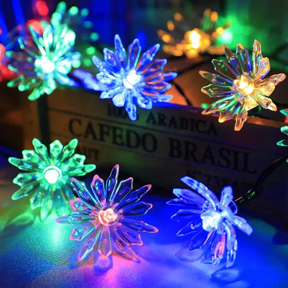 Soft Rose Fairy Lights