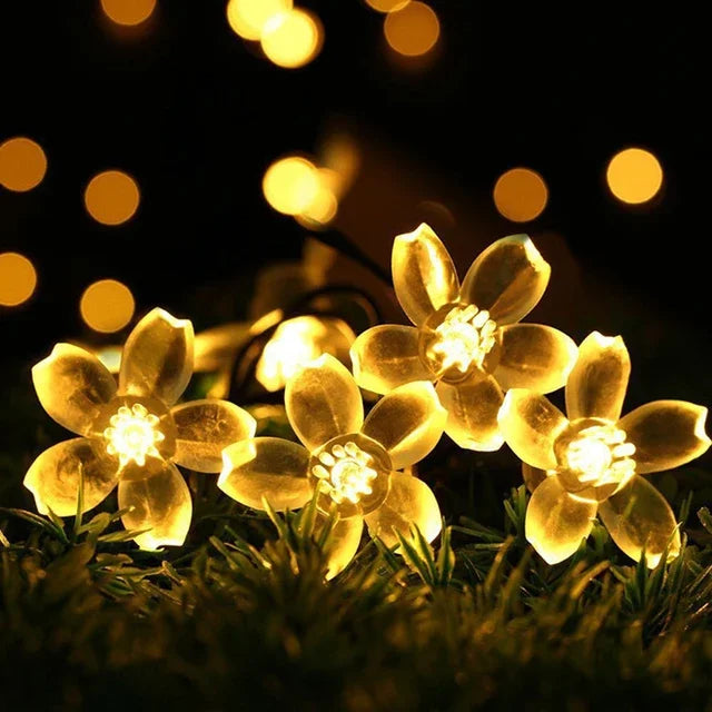 Delicate Rose Colorful Fairy Lights