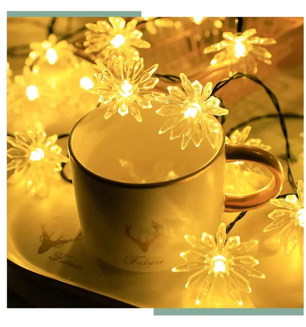 Soft Rose Fairy Lights