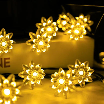 Delicate Rose Colorful Fairy Lights