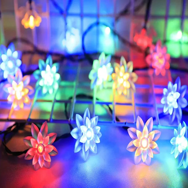 Delicate Rose Colorful Fairy Lights