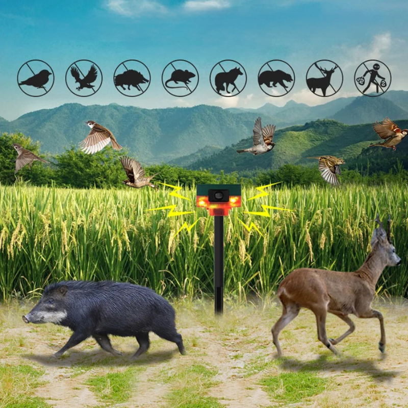 Outdoor Bird Repellent with Flashing Solar Light - Luxicro