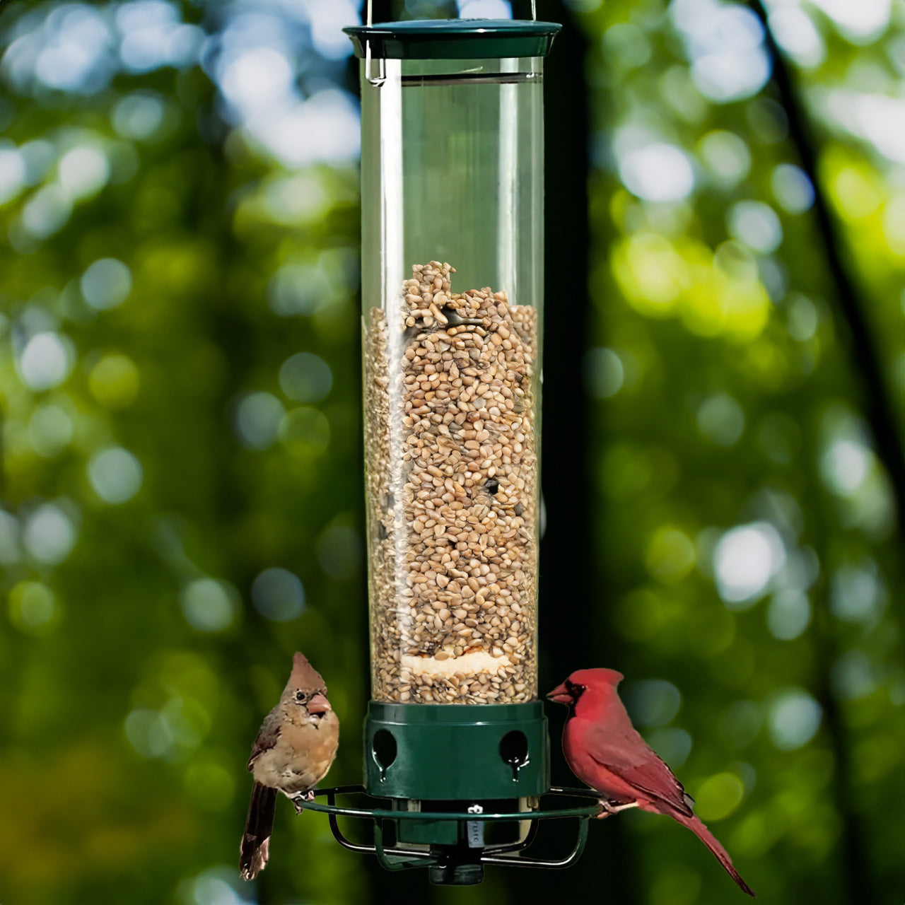 Easy Fill Bird Feeder with Squirrel Proof Spin Tray - Luxicro