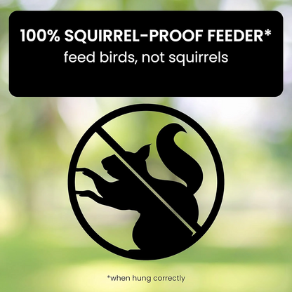 Easy Fill Bird Feeder with Squirrel Proof Spin Tray