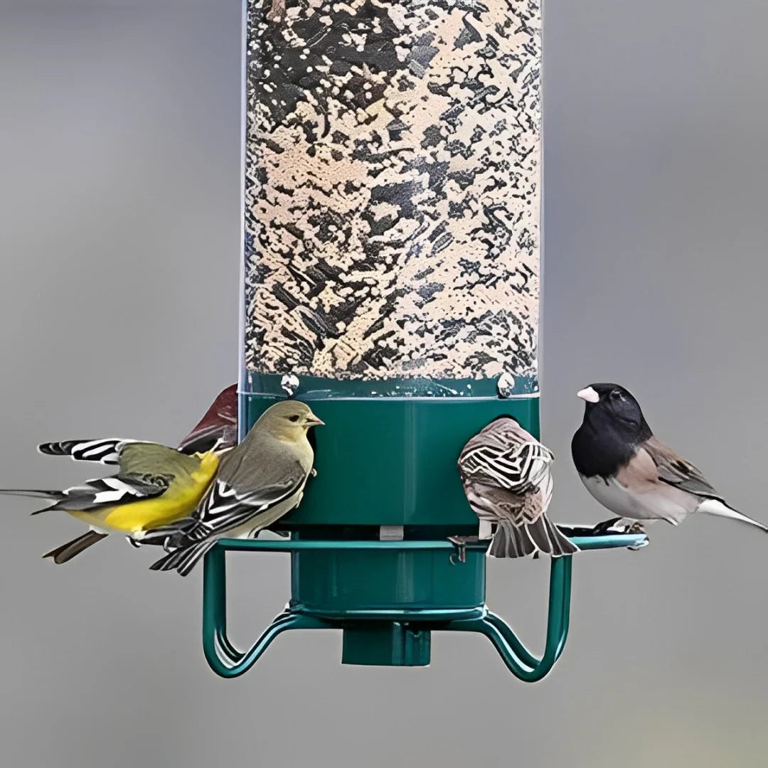 Easy Fill Bird Feeder with Squirrel Proof Spin Tray