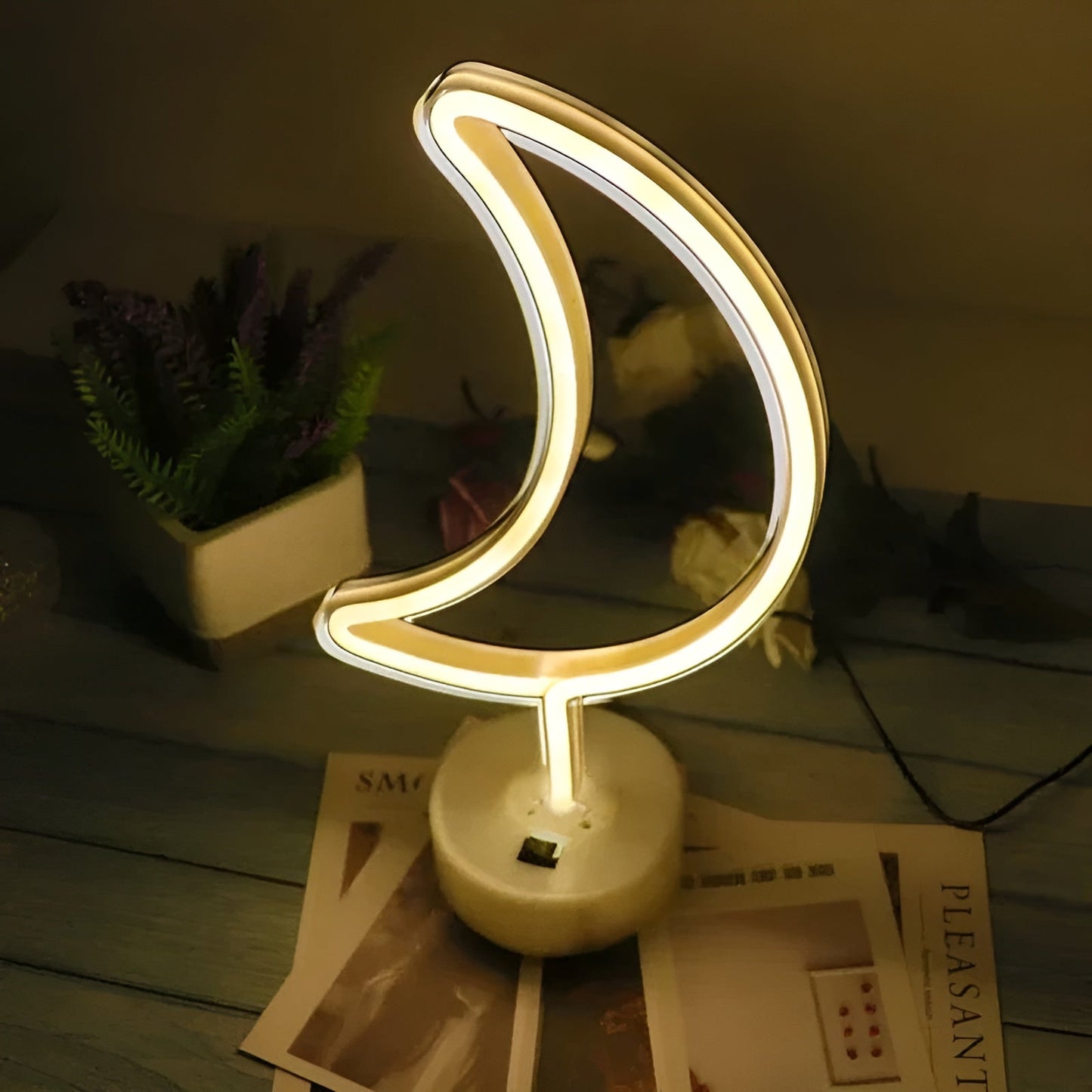 Vibrant Colorful Indoor Neon Light Lamp