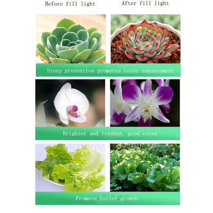 Bright 35W LED Indoor Plant Growing Lamp