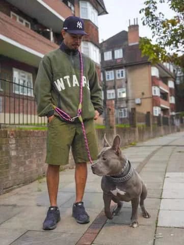 Easy Wear Running Dog Leash