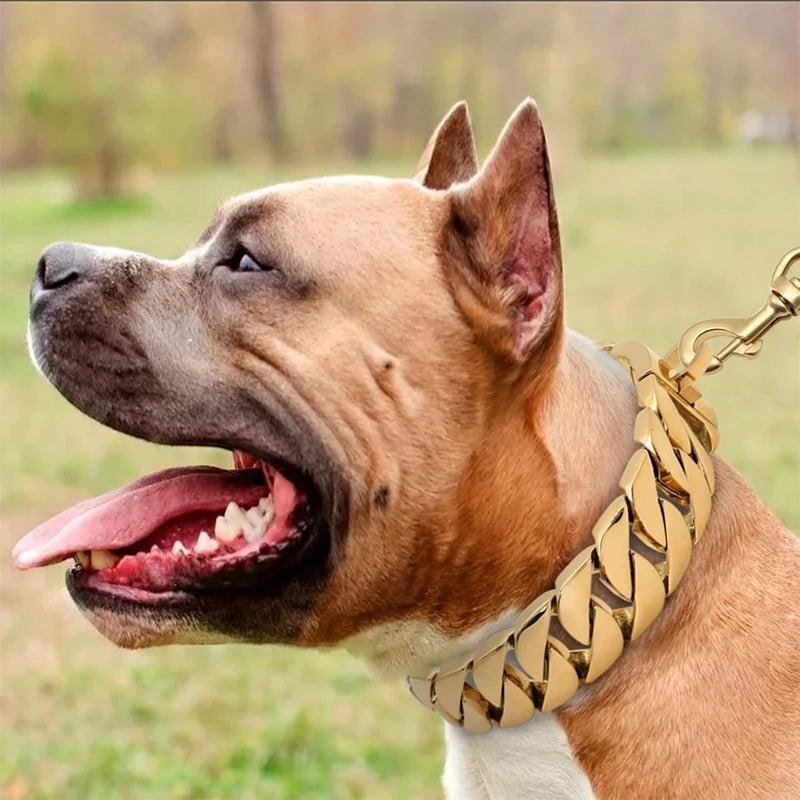 Strong Metal Dog Collar Stainless Steel Large Breed