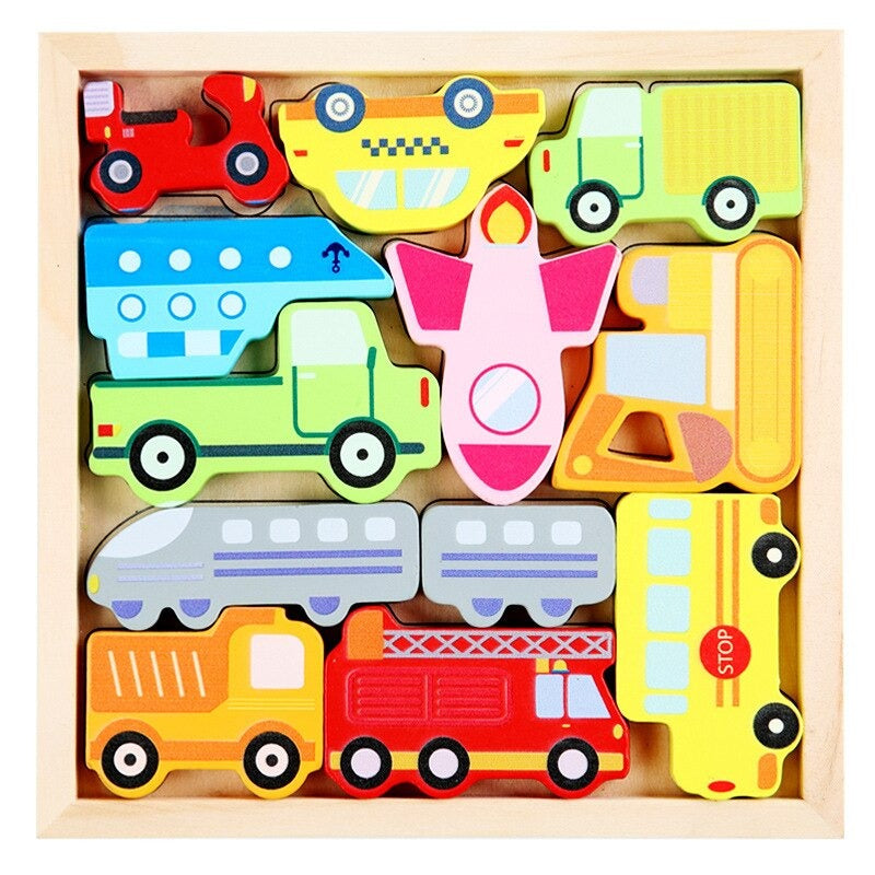 Colorful Wooden Brain Teaser Set 3 Pieces