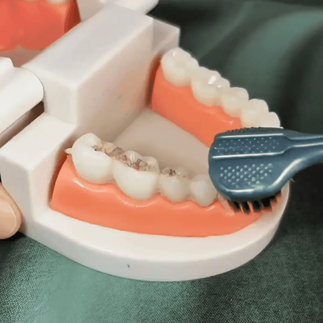 Advanced Full Coverage Rotating Toothbrush