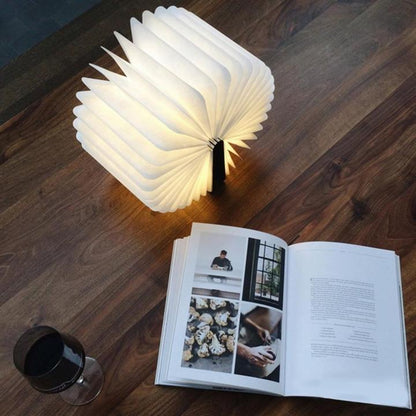 Portable LED Folding Reading Lamp