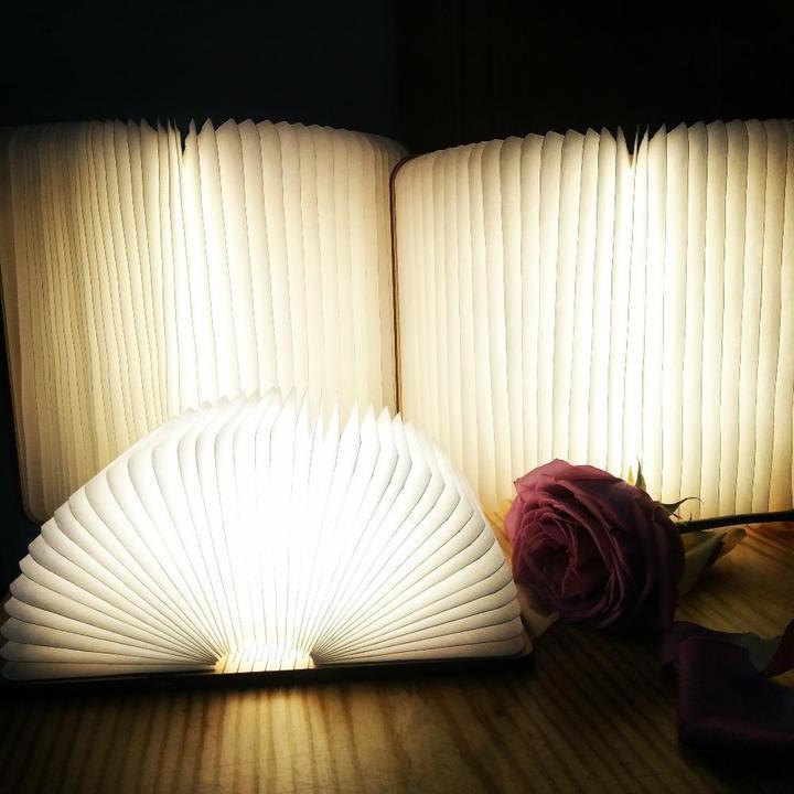 Portable LED Folding Reading Lamp