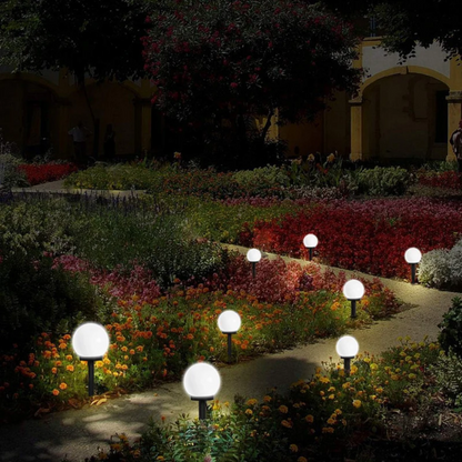 Vibrant Outdoor Solar String Light Set